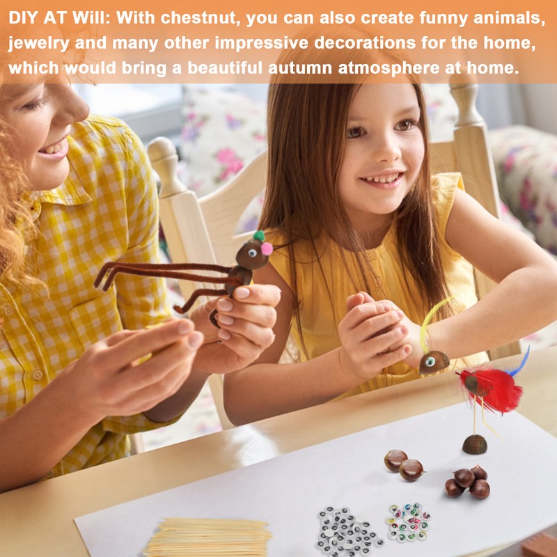 Chestnut Craft Set Metal DIY Children Craft Toy Gift