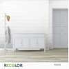 RECOLOR Recycled Interior Matte Finish Latex Paint for Walls and