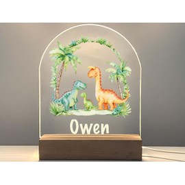 MIRROR MANIA Custom Night Light with A Dinosaur Illustration, on a Wood Base with Attached USB Cord and a Soft White LED Light. Handcrafted in America.