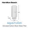 AquaFusion CleanGuard 100 Gallon Activated Carbon Block Replacement Filter, White