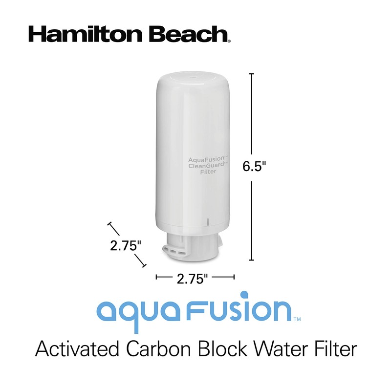 AquaFusion CleanGuard 100 Gallon Activated Carbon Block Replacement Filter, White