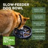 Only Natural Pet Sunup Slow-Feeder Dog Bowl - 50% Plant-Based,