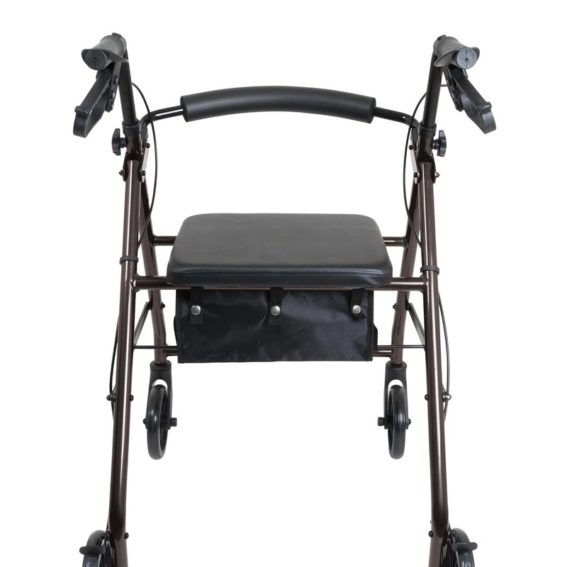 ProBasics Aluminum Rollator with 6-inch Wheels, Padded Seat and Backrest,
