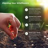 Created By Nature Idaho Wildflower Seed Mix, 14 Flower Varieties,