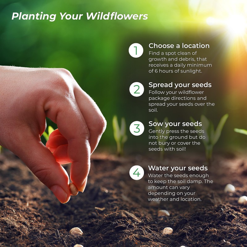 Created By Nature Idaho Wildflower Seed Mix, 14 Flower Varieties,