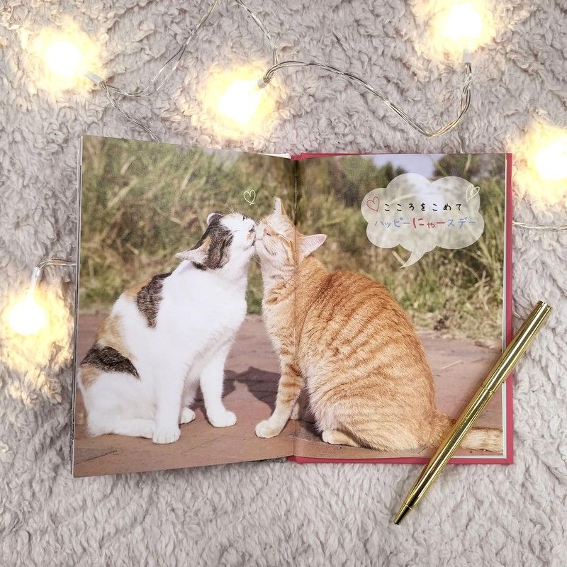 Gakken Staful Birthday Card, Happy Birthday Masayuki Oki Cat B10045