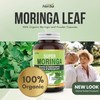Herba Herba Organic Moringa Capsules - 1000mg Per Day |