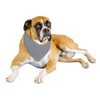Balec Grey Bandanas by Dozen 12 Pack for Women and