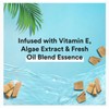 Suave ESSENTIALS OCEAN BREEZE BODY WASH WITH SWEET BLEND OIL