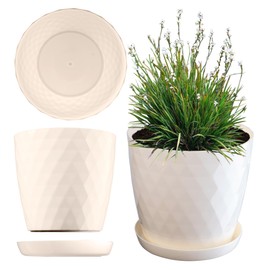 Kadax Decorative Flower Pot, for Flowers and Plants, with bottom tray, Made of Light and Durable Material