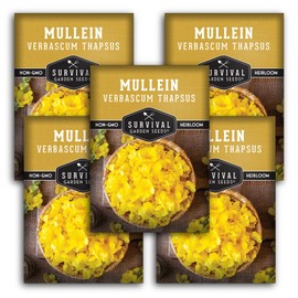 Mullein Seeds for Planting - Verbascum Thapsus Medicinal Biennial Herb with Tall Yellow Flowers - Heirloom Non-GMO Open Pollinated Pollinator Friendly - Survival Garden Seeds (5 Pack)