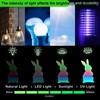 YOUSU 3D Printer Filament Bundle, Glow in The Dark Filament