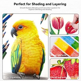 Arrtx - Juego de 126 lápices de colores, lápices de colores de núcleo suave para adultos, para colorear, dibujar, difuminar, sombrear y hacer bocetos,