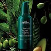 Aveda 아베다 보테니컬 리페어 스트렝쓰닝 오버나잇 세럼 100ml 1개 [해외]