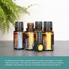 Nature's Fusions Strength, 100% Pure and Natural Essential Oil Blend