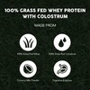 Paleovalley 100% Grassfed Whey Protein Powder with Colostrum, 13g Protein,