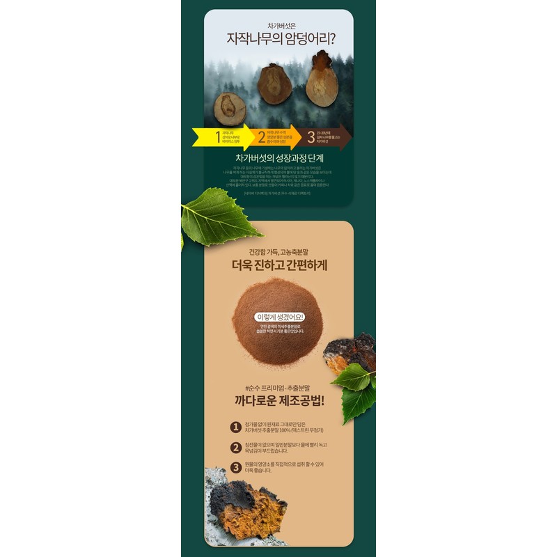 Chaga Mushroom Tea Extract Powder Powder 60 packets, 1 pc