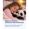 SUNNY SAM- “Gomitas de Magnesio Sin Azúcar para Niños y