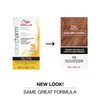 COLORCHARM Permanent Liquid Hair Color for Gray Coverage| 7G Sunlight