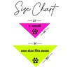It's My Birthday Dog Bandana (Neon Pink, OS 966)