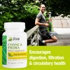 Jiva Botanicals Chanca Piedra Supplement - 550 mg per Serving