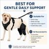RDOPODNJ (M Dog Rear Leg Brace with Safety Harness and