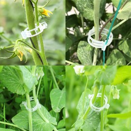 YBLXYSKD 300Pcs Plant Support Clips, Plastic Garden Clips for Climbing Plants, Tomato Trellis Clip for Vine Vegetables Tomato to Grow Upright and Makes Plants Healthier