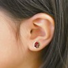 Sunstar Stationery Tropical ~ Ju! Pretty Cure Pierced Seal 2744320A