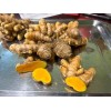 Fresh Turmeric Rhizome Root - 14 oz