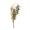 Rayher Mazzo di fiori secchi, verde pino, 18-20cm, bus.blis. 1pz,