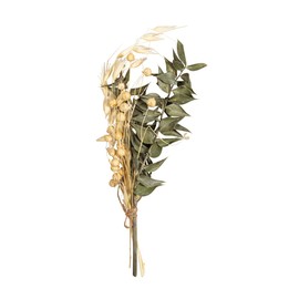 Rayher Mazzo di fiori secchi, verde pino, 18-20cm, bus.blis. 1pz, 85491430