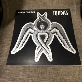 Toadies Hell Below/Stars Above 12x12 Album Cover Promo Poster DS
