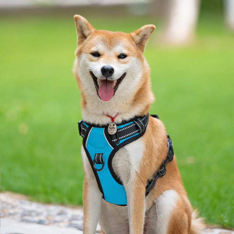 PoyPet No Pull Dog Harness, Reflective Vest Harness with 2