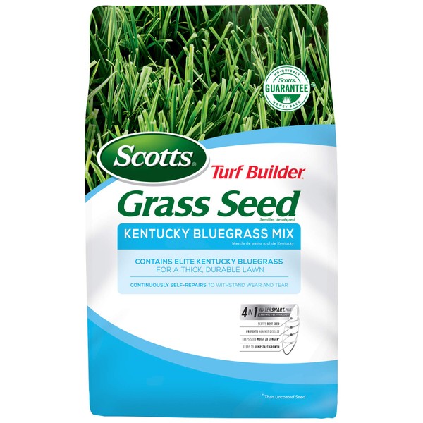 Scotts Turf Builder Grass Seed Kentucky Bluegrass Mix, Continuously Self-Repairs to Withstand Wear and Tear, 3 lbs.