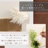 Mukojima MA-004 MAAM Airyduster Mini Feather Duster, 8.3 x 4.3