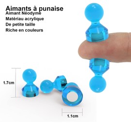Ant Mag Strong Rare Earth Magnetic Push Pins for Fridge Pabillards White Calendar Cards School and Office Set of 18