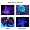 365nm UV Flashlight Professional High Brightness Ultraviolet Black Light Flashlight