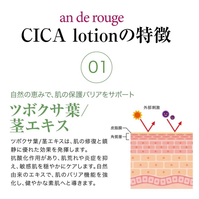 Andelouge Lotion (CACA Lotion)