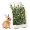 Pet Rabbit Hay Feeder Small Animal Hamster Pig Less Wast