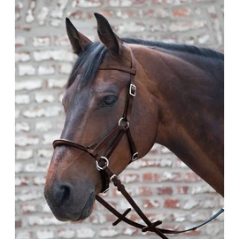 Linda Tellington Jones Lindel Thoroughbred Brown