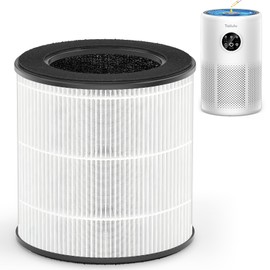 Tailulu D10 Replacement Filte, Air Purifier Filter for Tailulu D10 Air Purifier, 3-in-1 H13 Grade True Replacement Filte, D10 Replacement Filter 1 Pack
