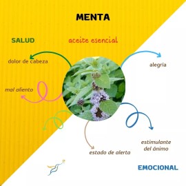 Punto Vital Aceite Esencial Menta, 100% Puro, Aromaterapia, 15ml