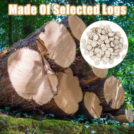 400 Stück 20mm Holzscheiben zum Basteln Holzplättchen Baumscheiben, 2.5mm Dicke Unbehandelte Naturholzscheiben Baumstamm Deko für DIY Weihnachten Dekoration Baumscheibe