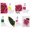 Beautiful Elegant Everlasting Gold Plated Rose Flower Valentine's Gift Red
