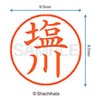 シャチハタ 印鑑 ハンコ ネーム9 XL-9 印面9.5ミリ 塩川