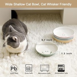 Juego de cuencos de cerámica para gatos, 5.5 pulgadas de ancho, aptos para la fatiga, 5 platos coloridos para gatitos con bonito patrón para agua húmeda y seca
