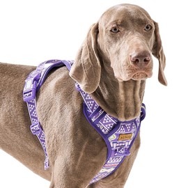 Purple Dog Harness with Ethnic Pattern for Big Dog, Like English Bulldog Doberman Husky Rottweiler Labrador, Easy to Put on and Take Off, No Pull Easy Walk Escapeproof No Choke, Large