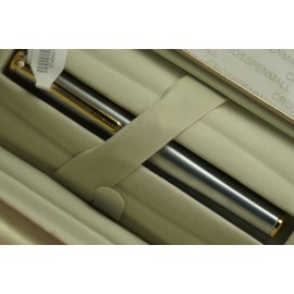 Sheaffer Agio Compact Fountain Pen Medium Nib with Cartridges, Brushed Chrome Plate Finish with 22K Gold Plate Trim (SH/9003-0)