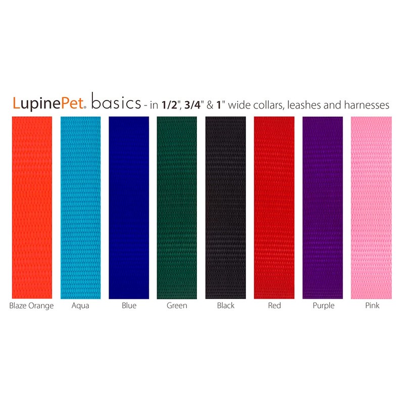 Lupine Padded Handle Dog Leash 1" wide Aqua 4-foot Long