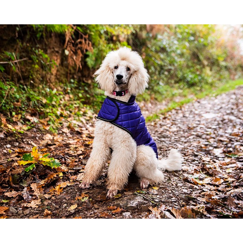 Henry Wag Quilted Dog Jacket - Stylish & Practical Dog